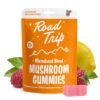 road trip nootropic blend ingredient
